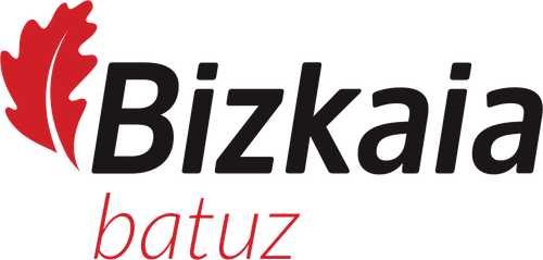 Bizkaia Batuz — registro de software